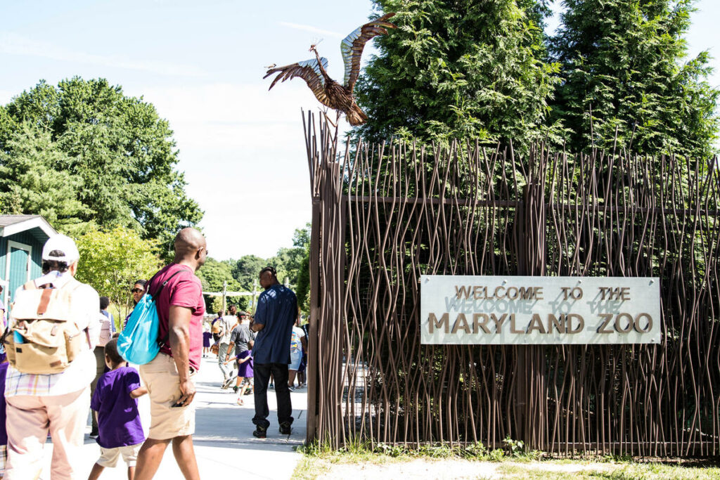 Children Connect With Animals With On-Site Zoo